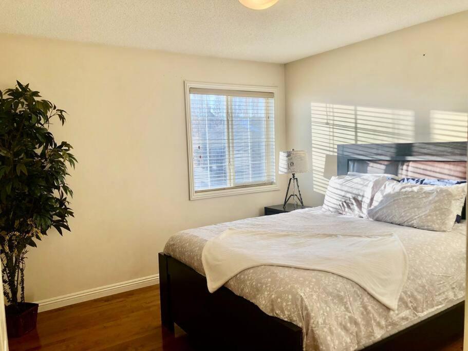 Willa 2500 Sq House In Springbank Hill Bl 261818 Calgary Zewnętrze zdjęcie