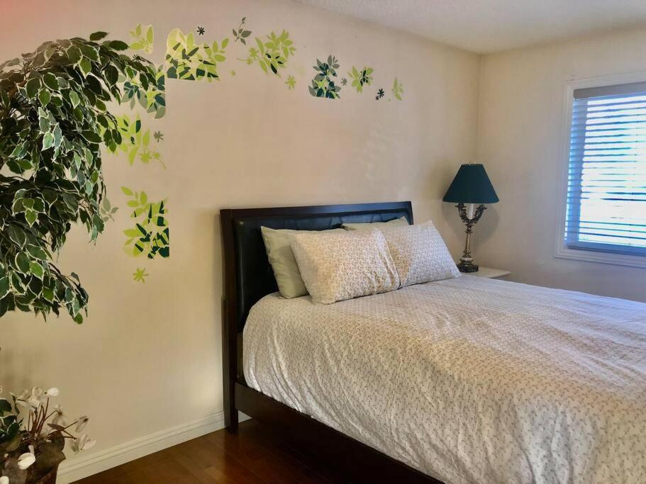 Willa 2500 Sq House In Springbank Hill Bl 261818 Calgary Zewnętrze zdjęcie
