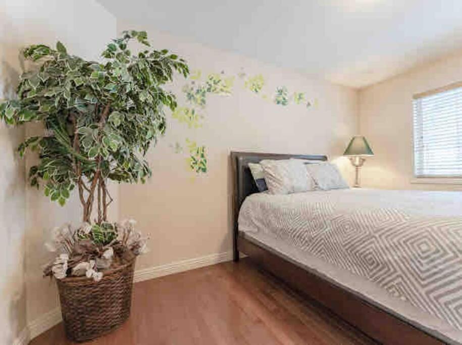 Willa 2500 Sq House In Springbank Hill Bl 261818 Calgary Zewnętrze zdjęcie